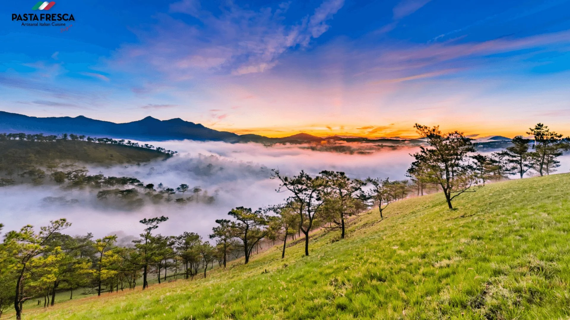 Đà Lạt có khí hậu mát mẻ, cảnh quan thiên nhiên tuyệt đẹp và rất nhiều địa điểm du lịch hấp dẫn